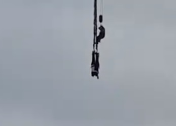 qlwbjgkz1.jpg